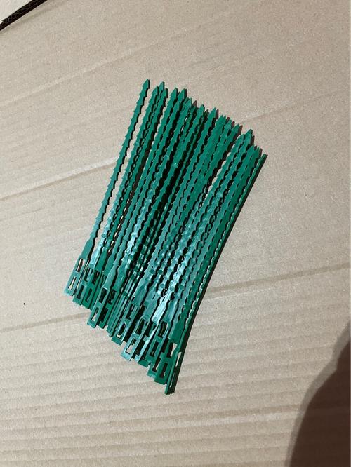 观海卫镇劳动支路5号 多元产品线，构筑品质生活新标杆